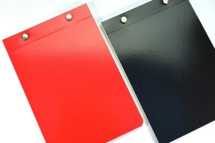 carnets d'Hector