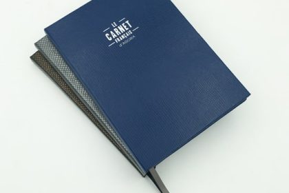 beaux carnets imitation peaux de serpents