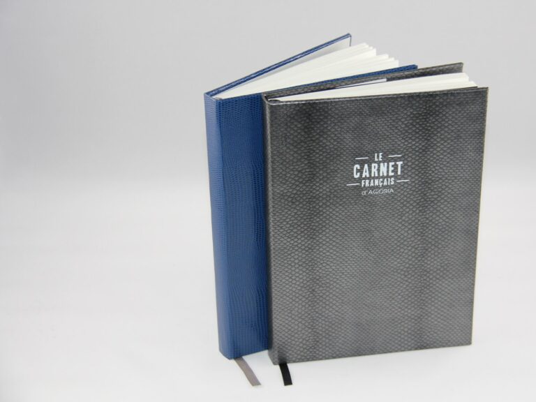 carnets francais effets ecailles